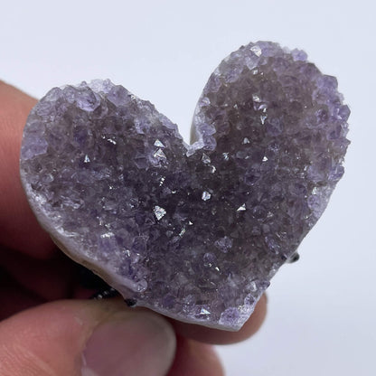 Purple Heart for Kismet