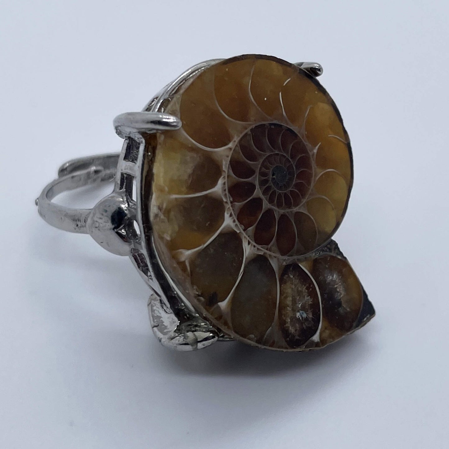 Rhythm of Time's Spiral