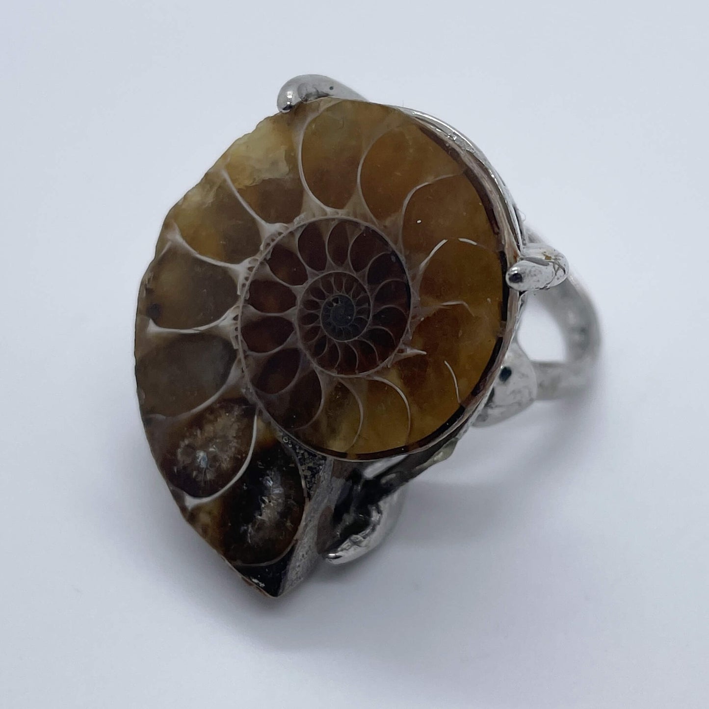 Rhythm of Time's Spiral