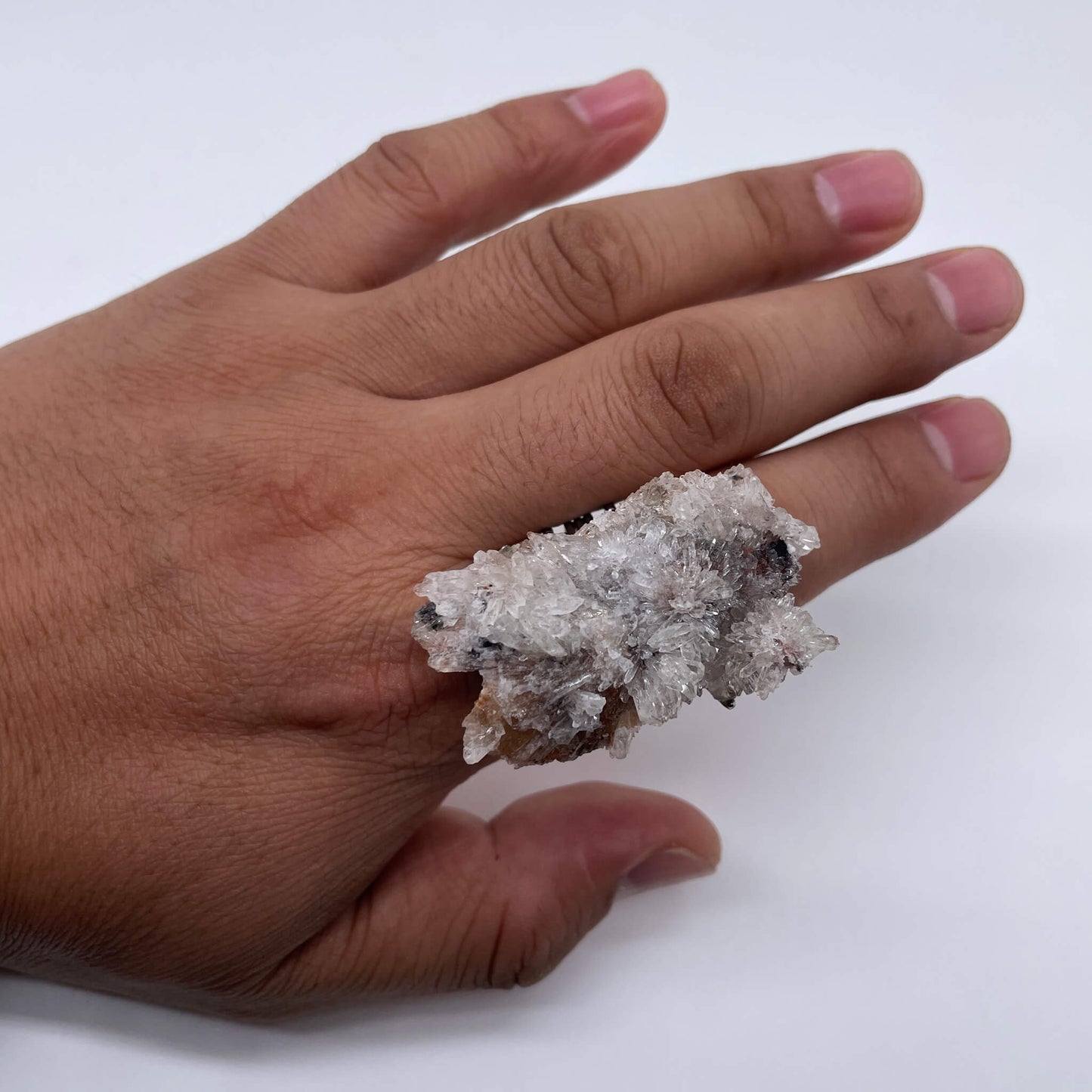 Ice Cicada Guarding Spirit（Handmade One of a Kind）