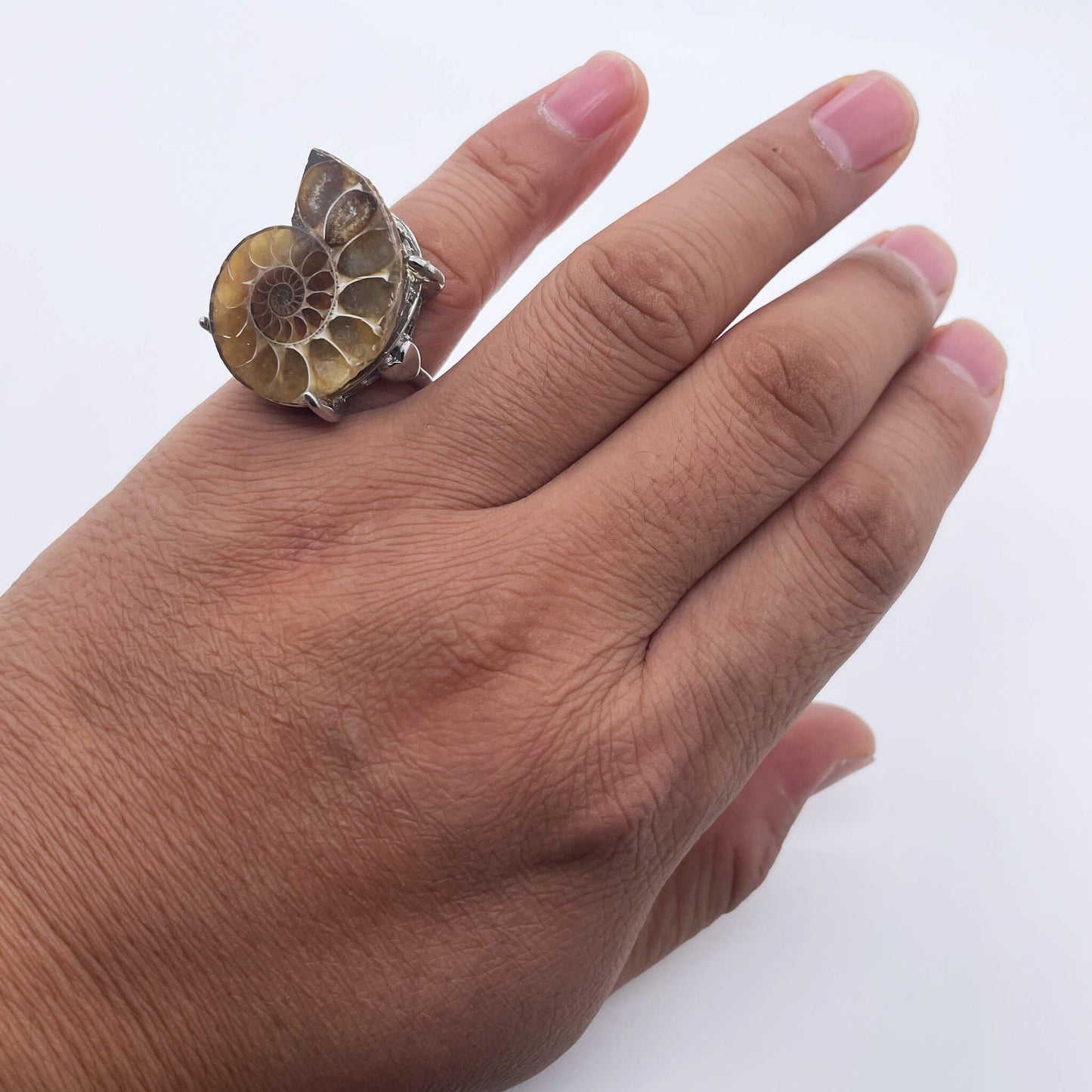 Rhythm of Time's Spiral