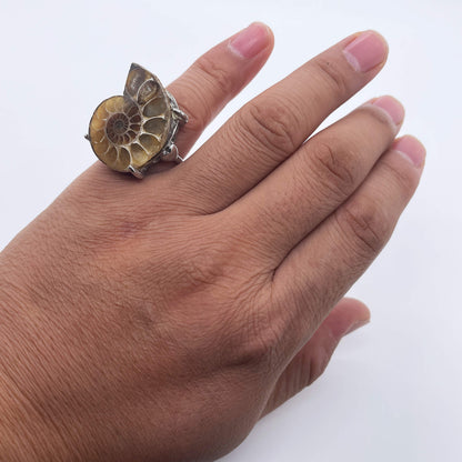 Rhythm of Time's Spiral