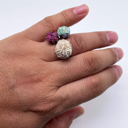 Three-Color Secret Realm Wish