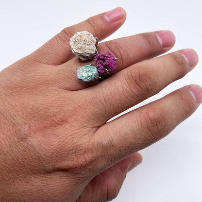 Three-Color Secret Realm Wish