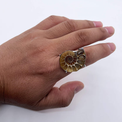 Rhythm of Time's Spiral